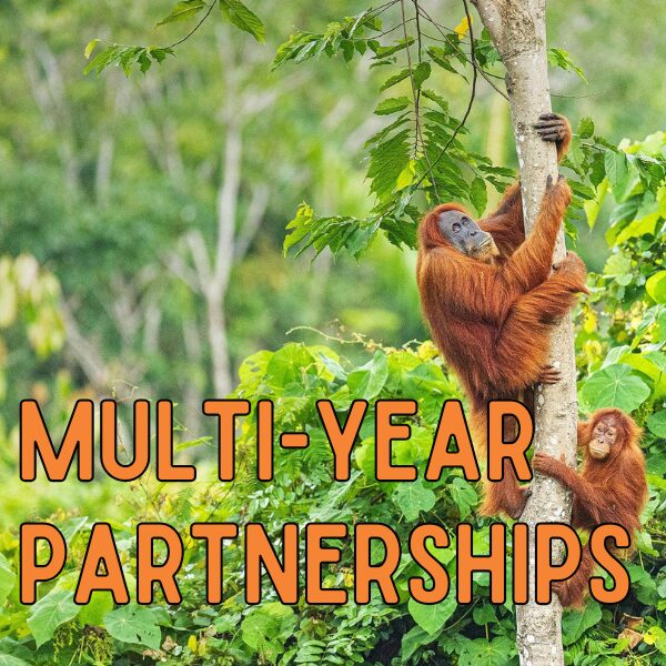 Corporate Partnerships