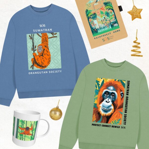 A selection of products from the SOS store including sweatshirts, a notebook and mug.