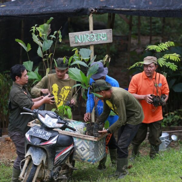 The OIC team load up seedlings from the tree nursery onto a motorbike