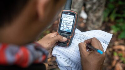 Securing a Thriving Future for Orangutans: How We’re Evolving Conservation