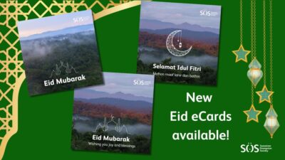 The image shows greeting cards featuring the Sumatran landscape with