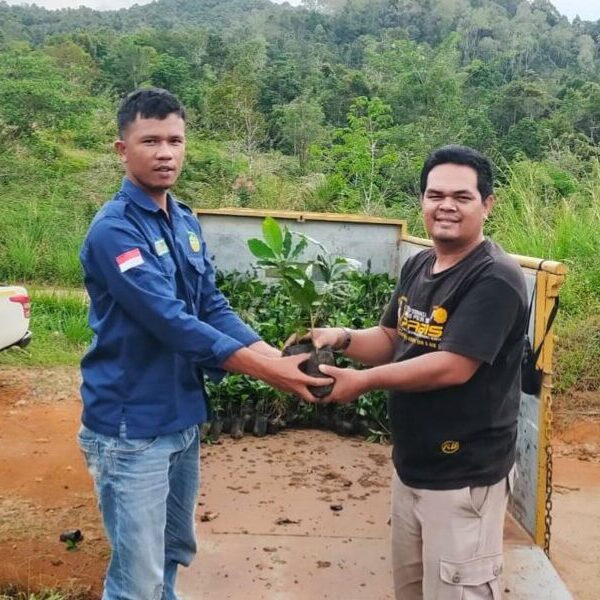 From Supply Chain to Rainforest: Building a Sustainable Future