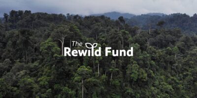 How We're Planting Seeds of Sustainable Development