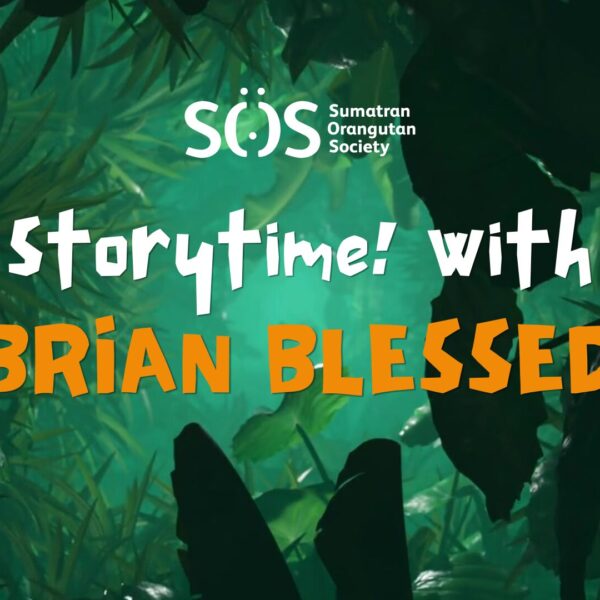 Rainforest image with the text 