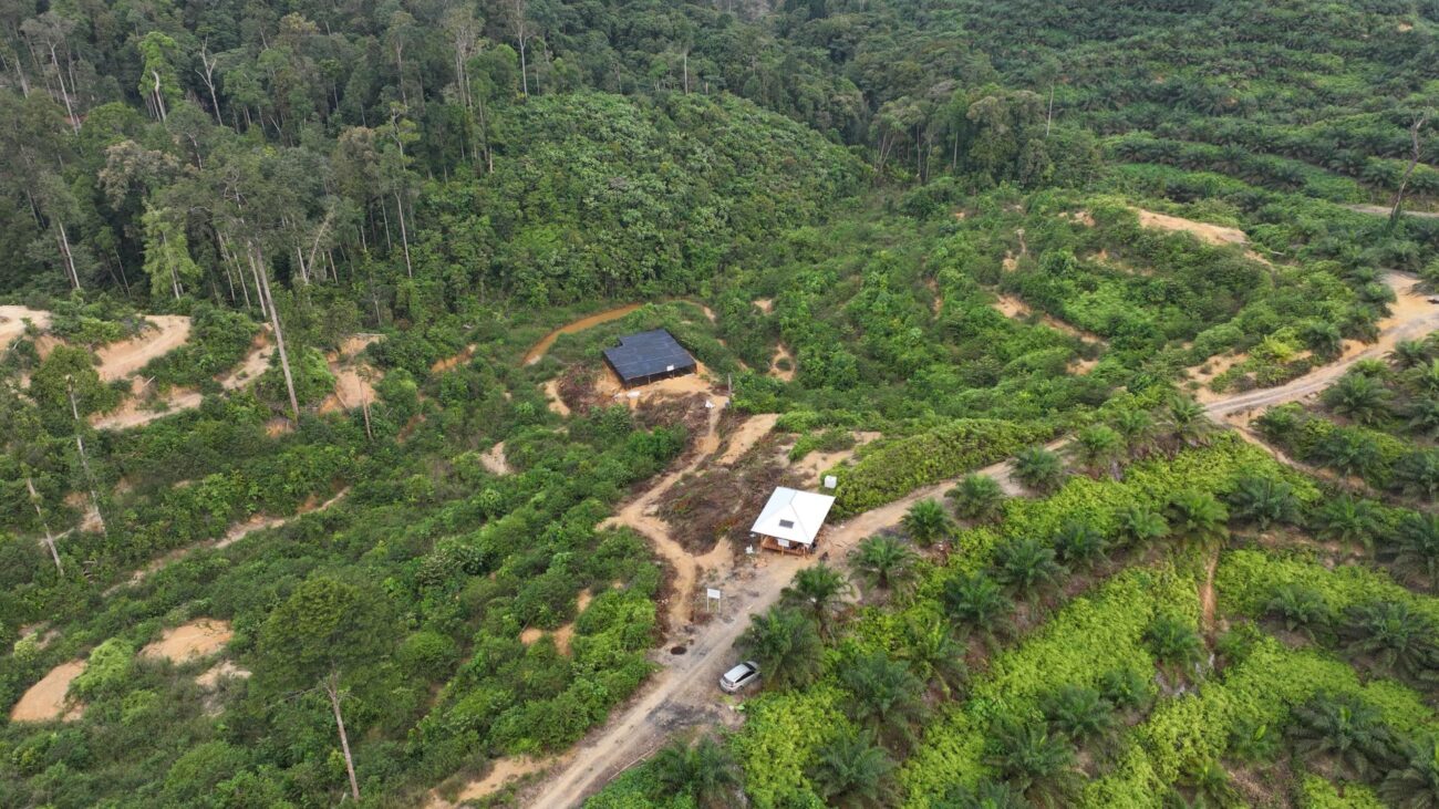 Aerial view of the restoration area in Tenggulun 
