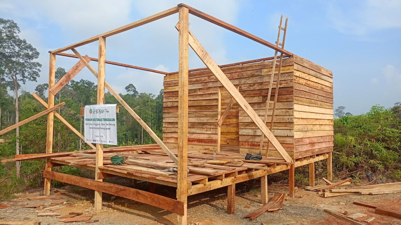 The restoration cabin being constructed in the rewilding site