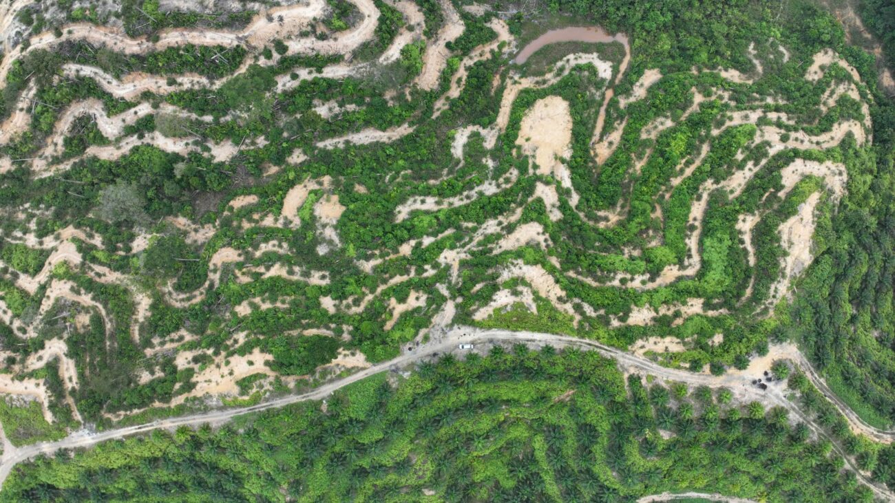 An aerial shot of degraded land and oil palm