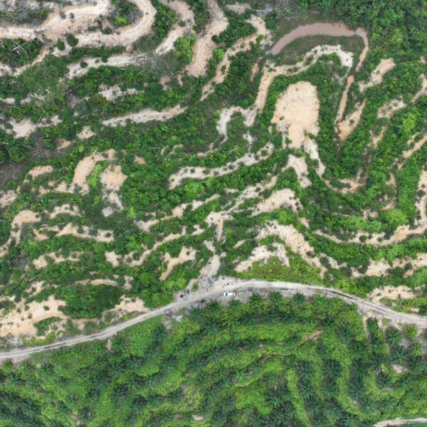 An aerial shot of degraded land and oil palm