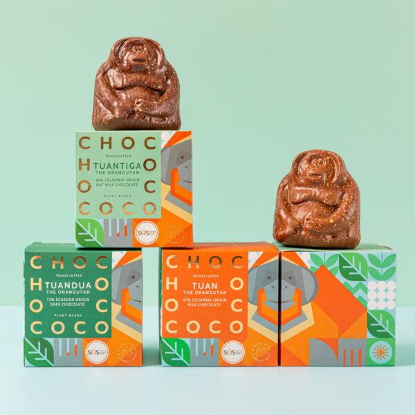 Tuan is Back! The Chocolate That’s Saving Rainforests: A Partnership with Chococo