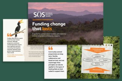SOS Fundraising Values