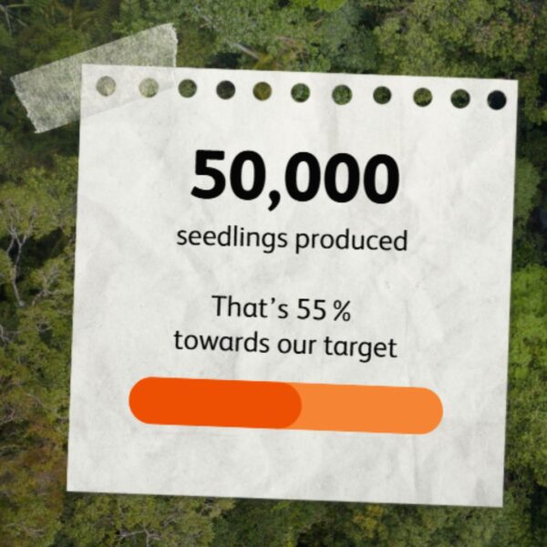 PETAI Lays Foundations for Long-Term Restoration Success