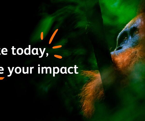 The Big Give is Here! Double Your Donation!