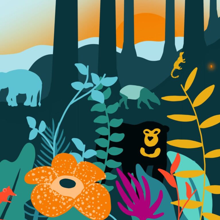 The Rimba: Meet the Author and Illustrator Behind the Book