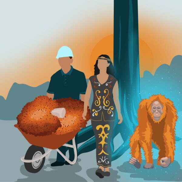 The Rimba: Meet the Author and Illustrator Behind the Book