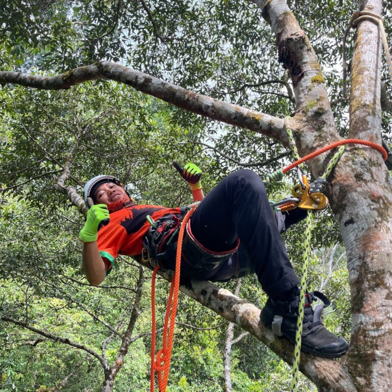 Guardians of the Forest: Meet Dhandi and Dimas