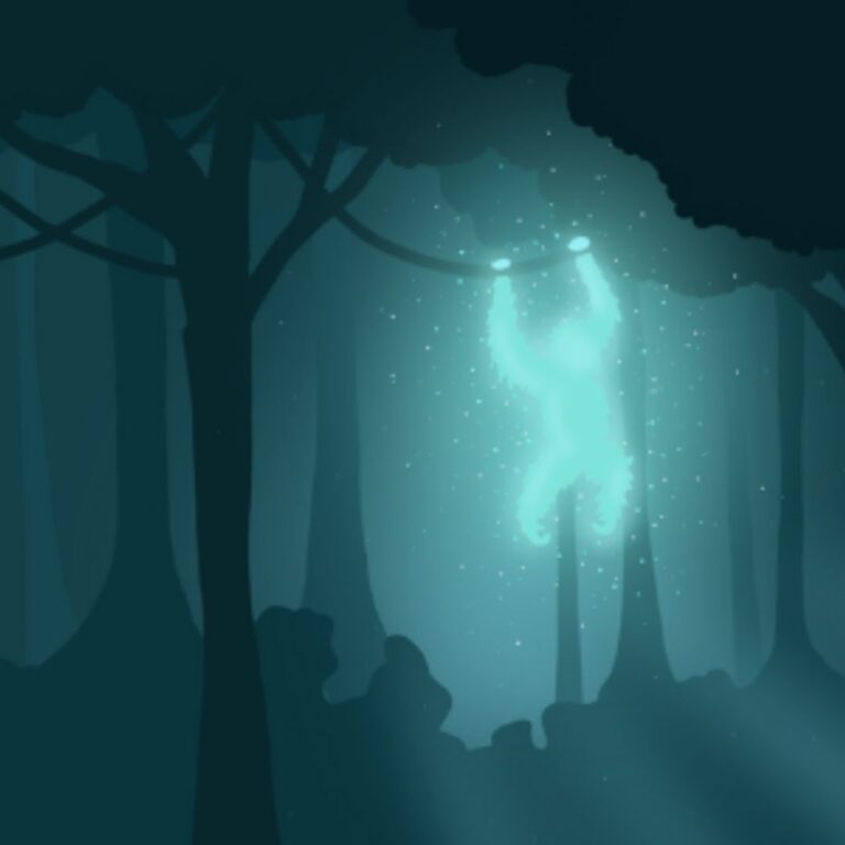 The Rimba: Meet the Author and Illustrator Behind the Book