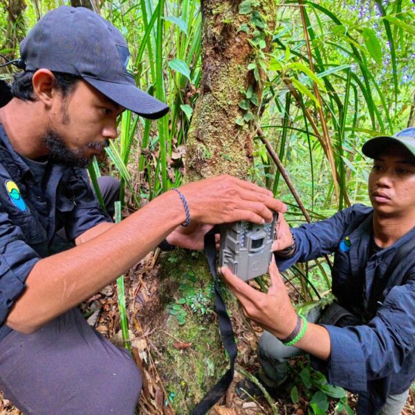 Guardians of the Forest: Meet Dhandi and Dimas