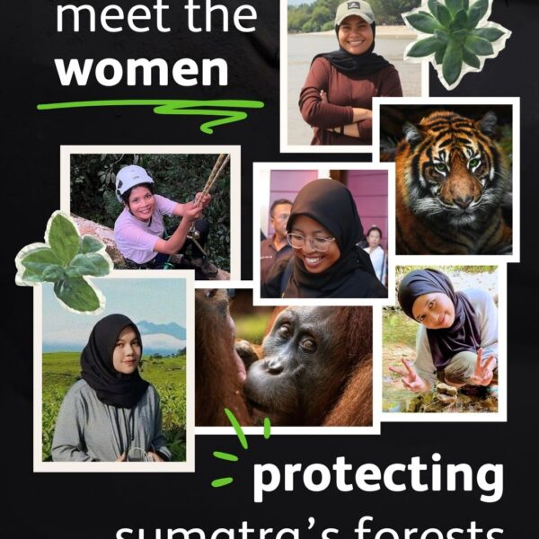 Meet the Women Protecting Sumatra’s Forests