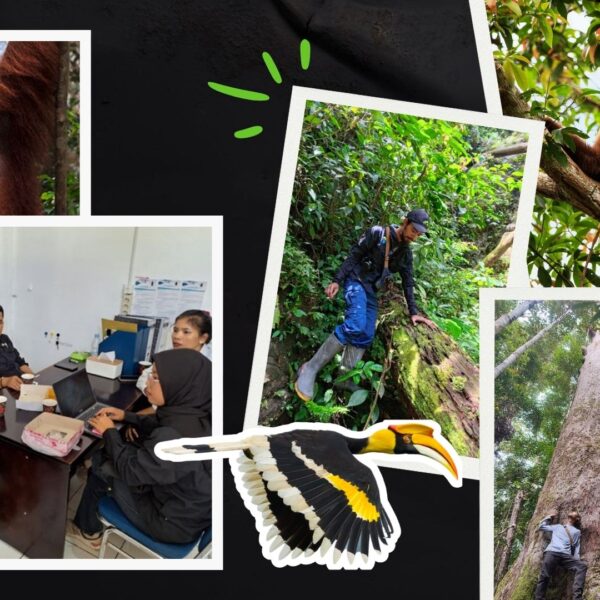 How the Solin Tumba Community Are Mapping a Safe Future for Their Ancestral Forest