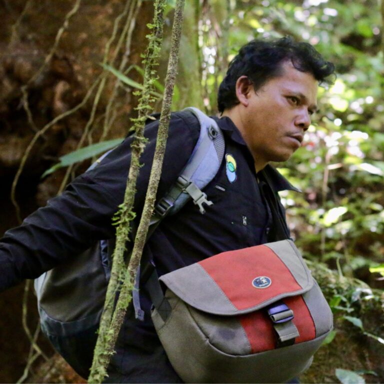 Forest Guardians: Meet Rikardo and Seddih