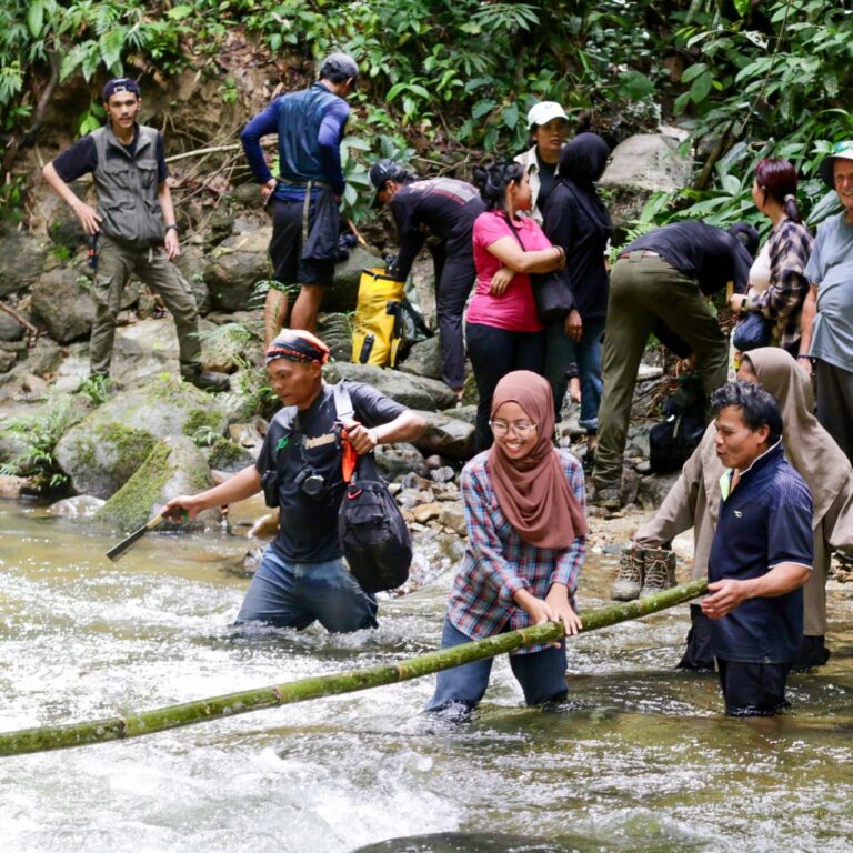 Forest Guardians: Meet Rikardo and Seddih