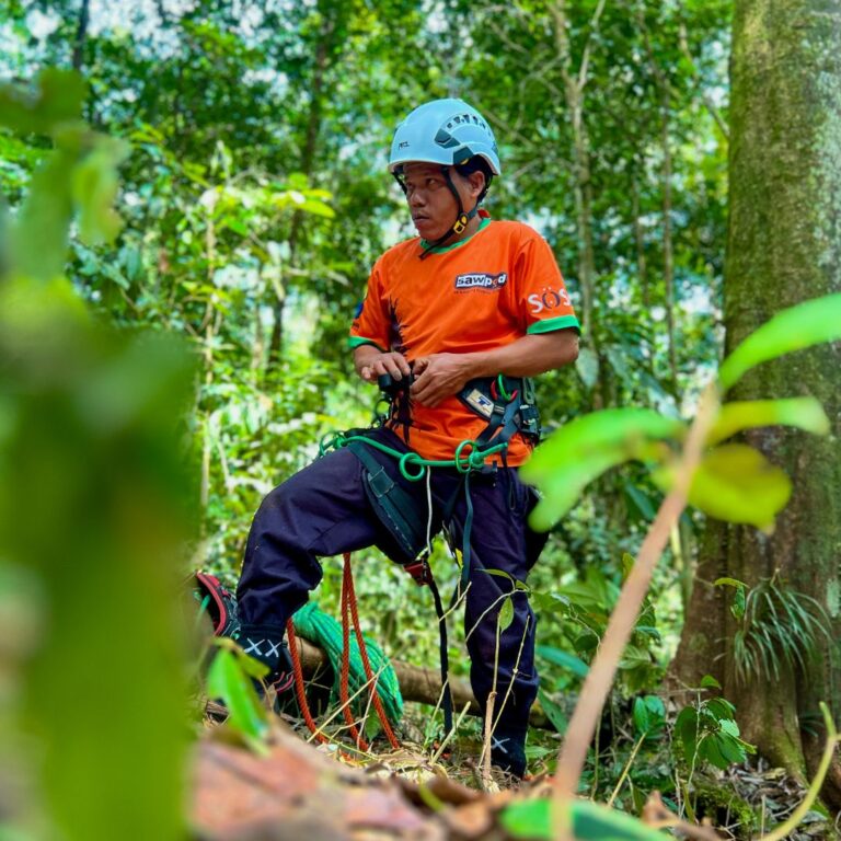 Forest Guardians: Meet Rikardo and Seddih