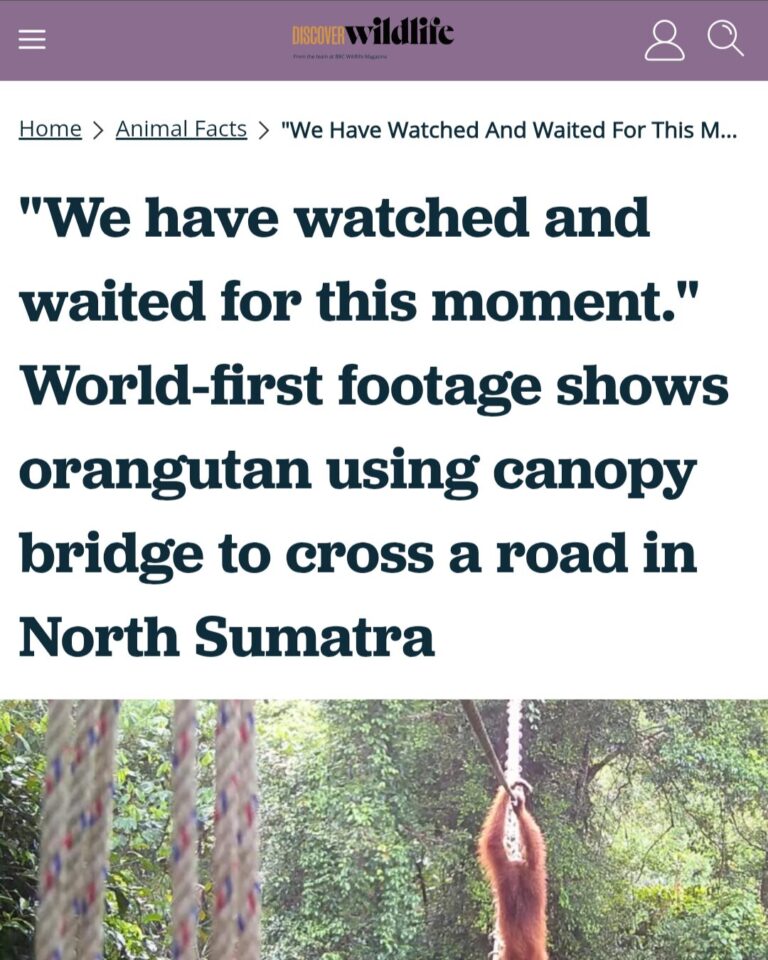 Reconnecting the Rainforest in Sumatra