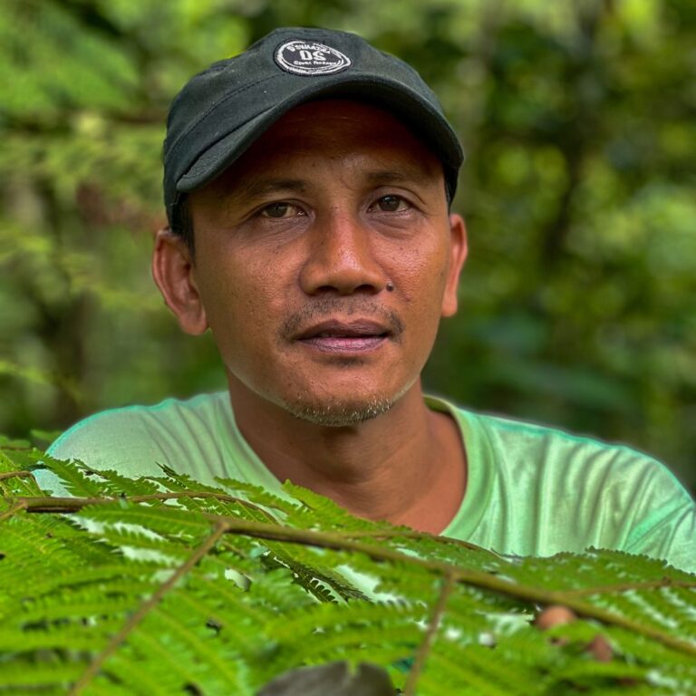 Forest Guardians: Meet Darma