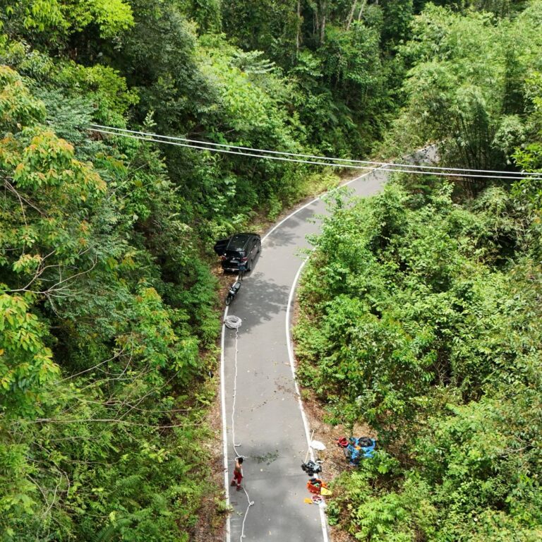 Answering Your Questions About Canopy Bridges