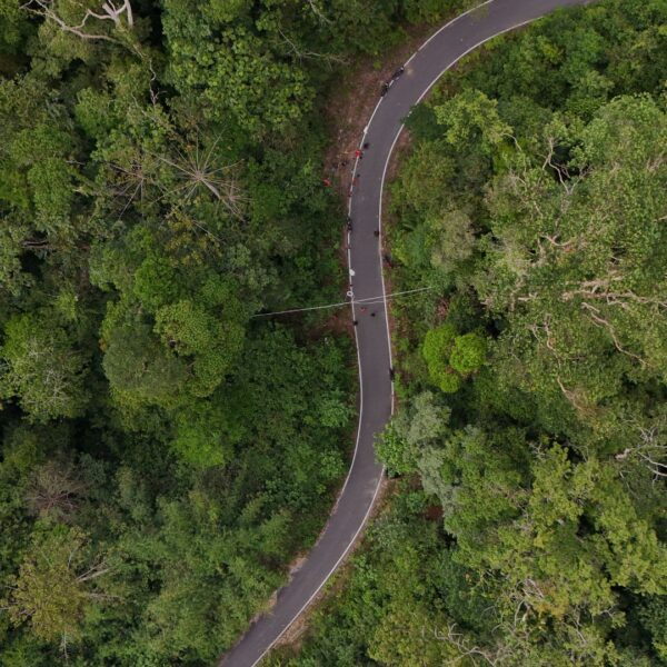 Answering Your Questions About Canopy Bridges