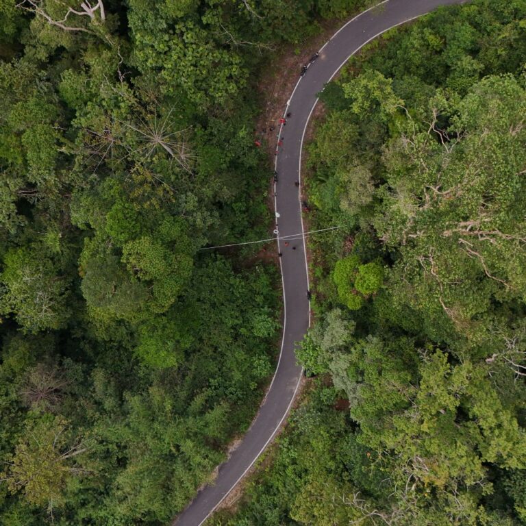Answering Your Questions About Canopy Bridges