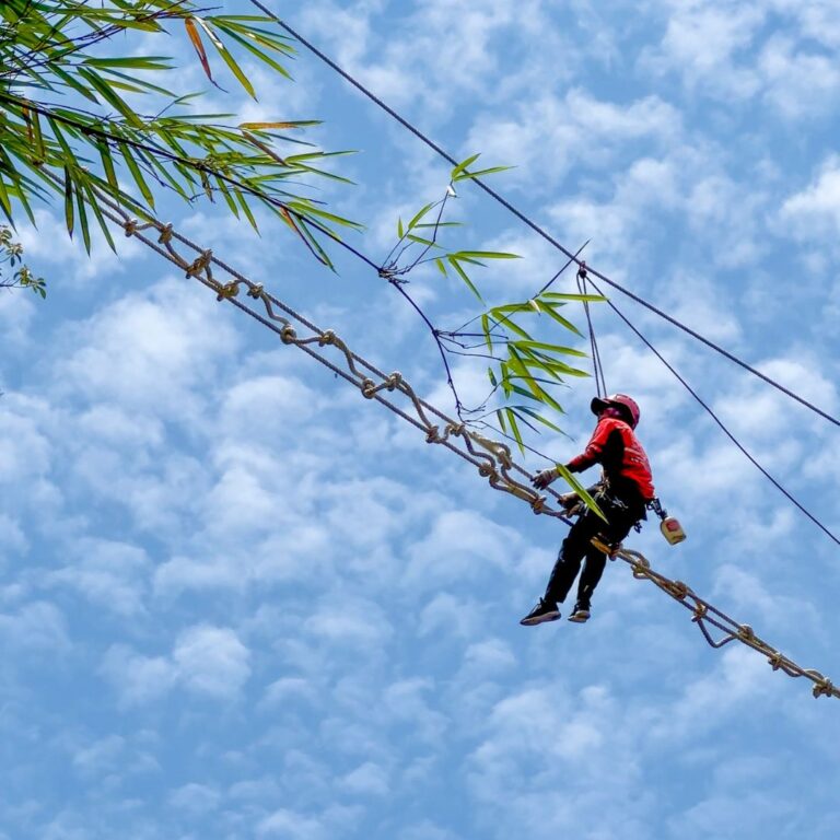 Answering Your Questions About Canopy Bridges