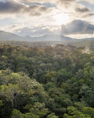 New research reveals top threats to Tapanuli orangutans