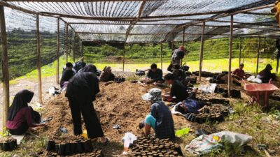 Boots on the ground: visiting our restoration site in Tenggulun